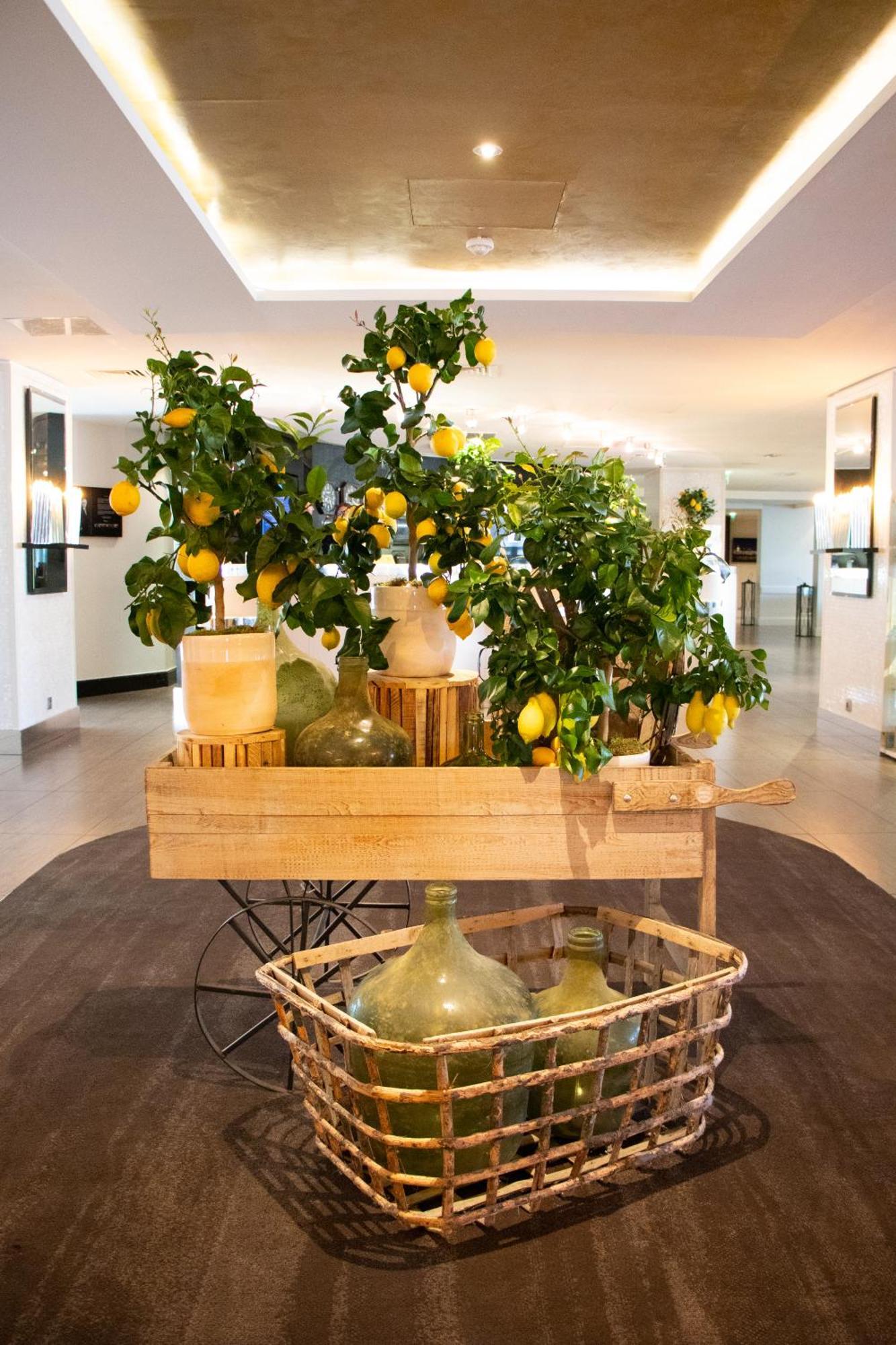 Hotel Sofitel Marseille Vieux-Port Esterno foto Lemon trees in the lobby of the Hotel